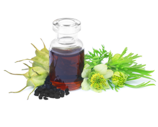Pavizham Oils